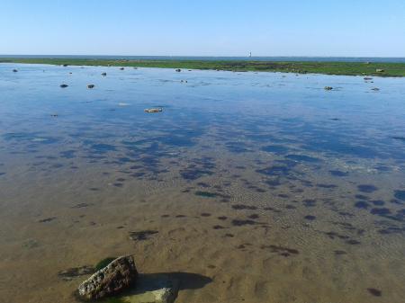 Pieds dans l'eau